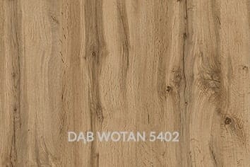 DĄB WOTAN.jpg