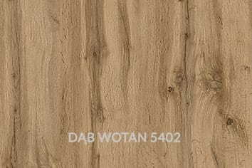 DĄB WOTAN.jpg